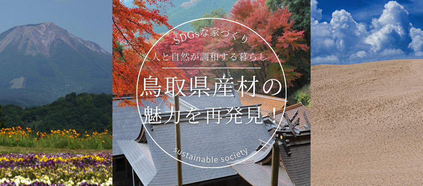 🌲🌳 鳥取県産材の魅力を再発見！🌳🏠